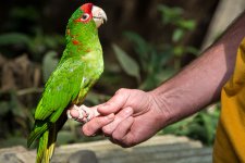 Senda Verde